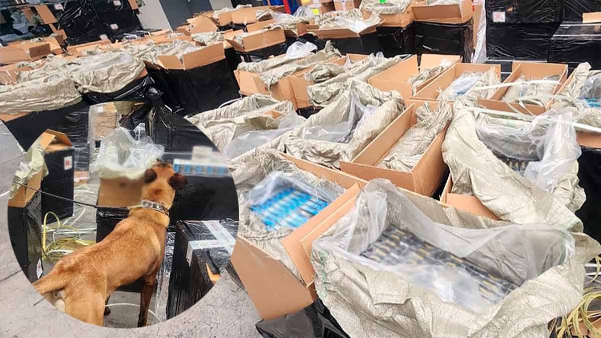 Aseguran en Michoacán miles de cigarrillos apócrifos procedentes de China