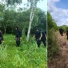 Yucatán: Continúa la búsqueda de un hombre desaparecido en Yobaín