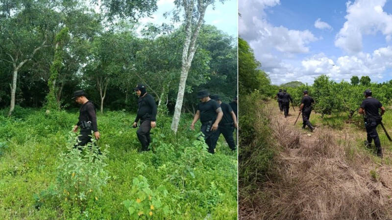 Yucatán: Continúa la búsqueda de un hombre desaparecido en Yobaín