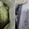 Aseguran en el AICM ocho kilos de hojas de coca en polvo ocultos como suplemento de moringa
