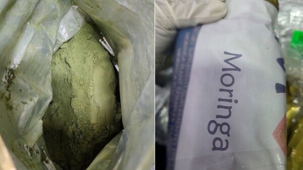 Aseguran en el AICM ocho kilos de hojas de coca en polvo ocultos como suplemento de moringa