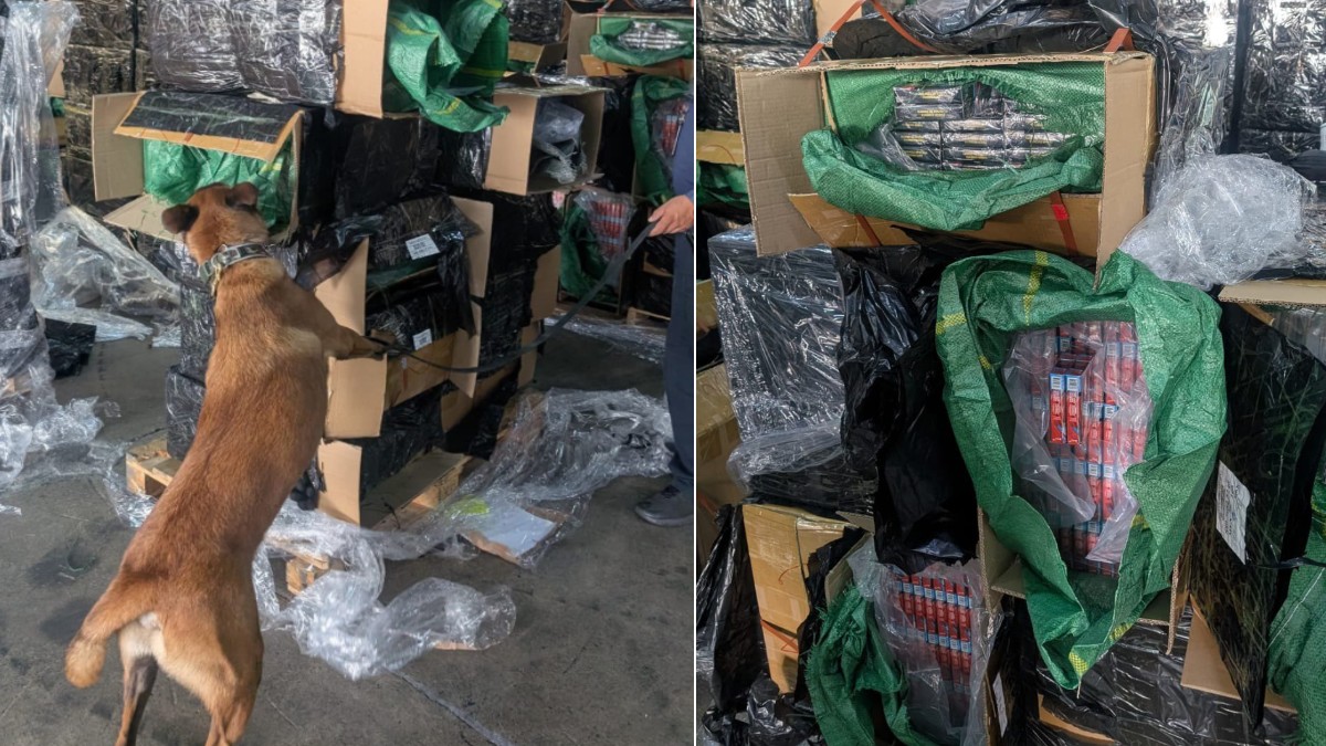 Detectan 2.4 millones de cigarrillos presuntamente apócrifos en embarque procedente de China