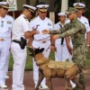 Perrito "Hermes" se jubila de la Armada de México tras siete años de servicio
