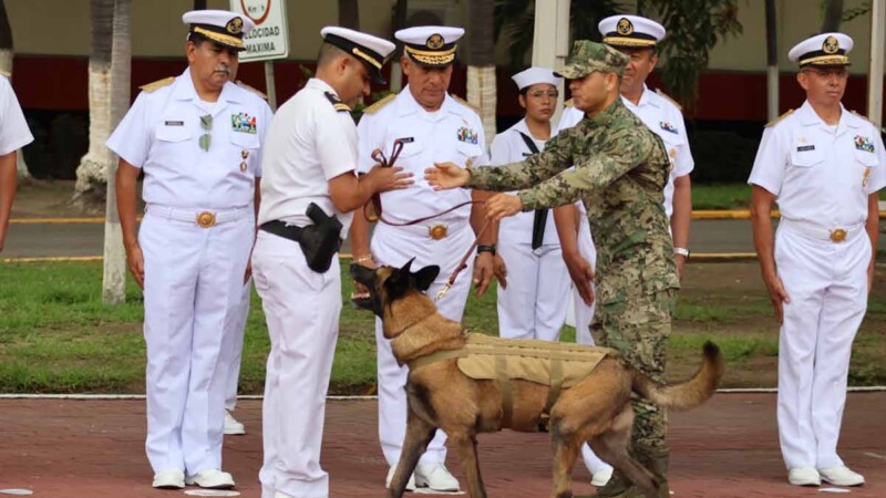 Perrito "Hermes" se jubila de la Armada de México tras siete años de servicio