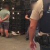 Decomisan más de una tonelada de cocaína oculta entre cocos en España