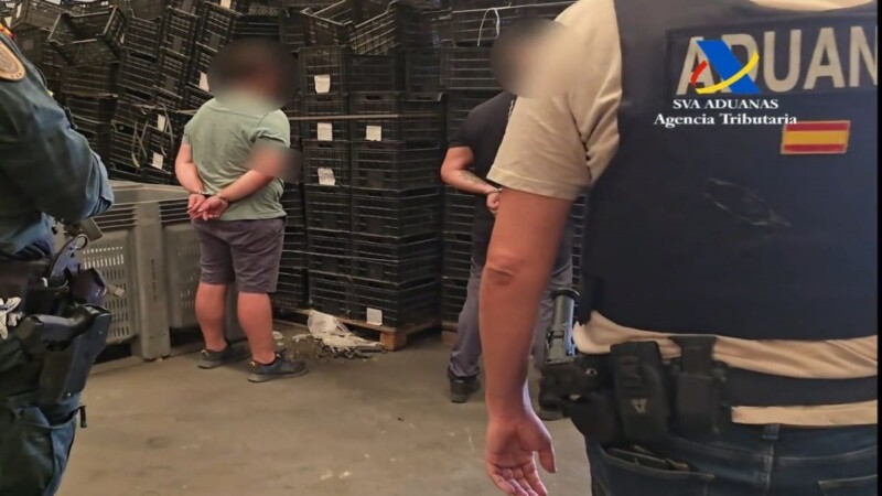 Decomisan más de una tonelada de cocaína oculta entre cocos en España