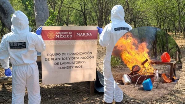 Aseguran 100 kilos de metanfetamina y desmantelan laboratorio clandestino en Sinaloa