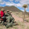 México y Estados Unidos realizan ejercicio bilateral de defensa aérea en la frontera