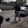 Un hombre cae de una vivienda en la CDMX tras arrojar a un perro desde la azotea