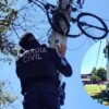 Desmantelan red de cámaras clandestinas del crimen organizado en Michoacán