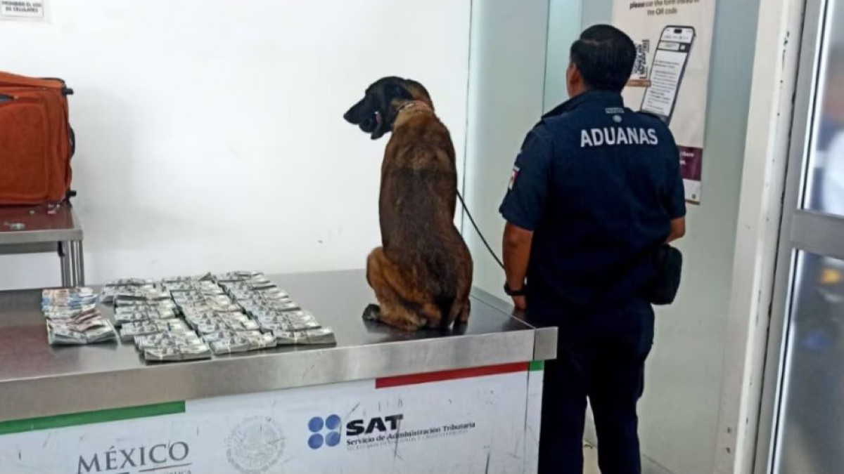 Detectan más de 365 mil dólares ocultos en equipaje de pasajero en el aeropuerto de Oaxaca