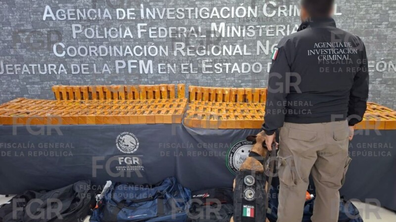 Detienen en Apodaca a pasajero procedente de Colombia con 94.5 litros de cocaína