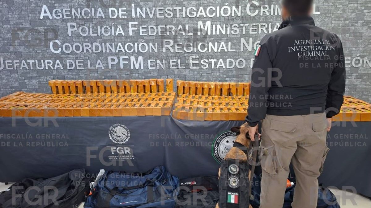 Detienen en Apodaca a pasajero procedente de Colombia con 94.5 litros de cocaína