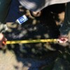 Identifican 50 huellas de dinosaurios de hace 65 millones de años en Michoacán
