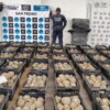 Aseguran una tonelada de peyote oculta entre paja en un camión en Coahuila