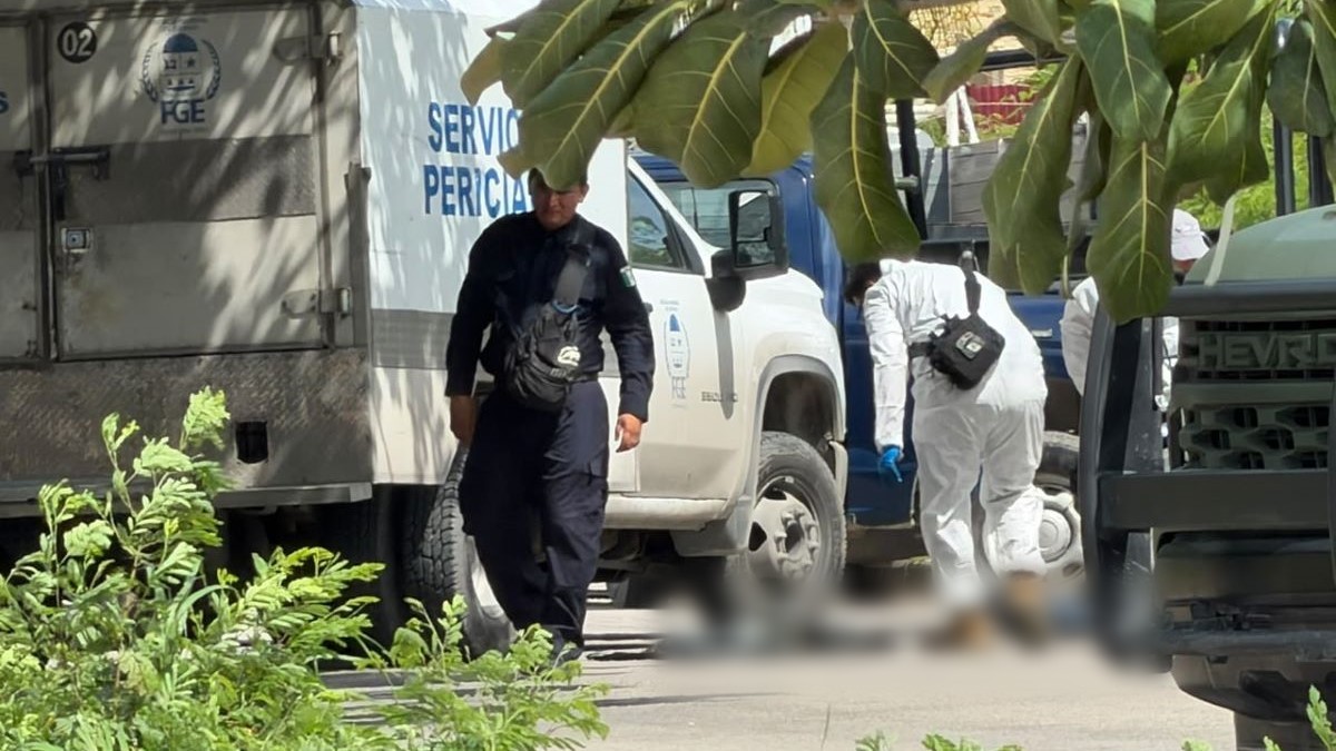 Localizan cuerpo dentro de una bolsa en área verde en la avenida Kinik, en la Supermanzana 97 de Cancún