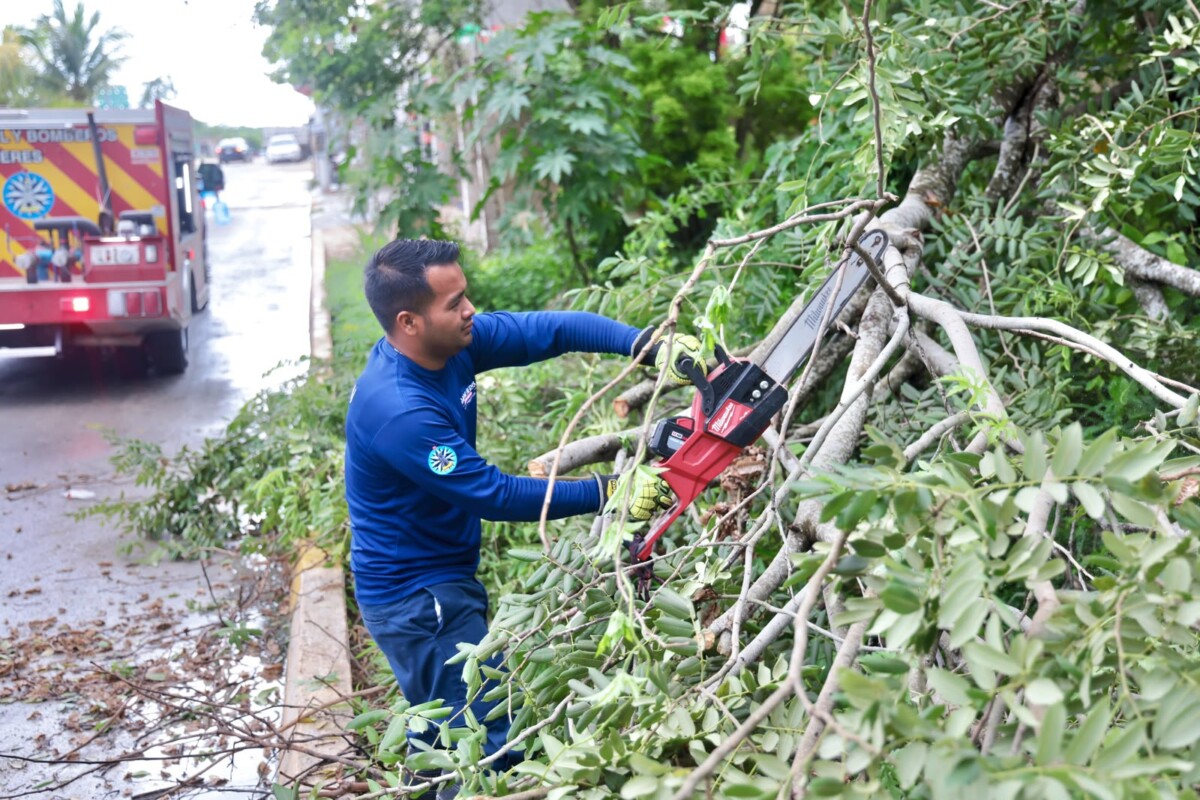 Gobierno de Isla Mujeres mantiene trabajos permanentes de prevención y atención ciudadana ante la temporada de lluvias. Protección Civil y Servicios Públicos continúan con la limpieza de alcantarillas y drenajes pluviales, además de atender los reportes de vecinos en la Zona Insular y Zona Continental.